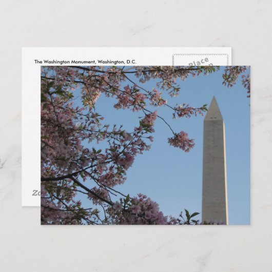 Washington Monument Briefkaart (Voorkant / Achterkant)