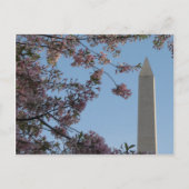 Washington Monument Briefkaart (Voorkant)