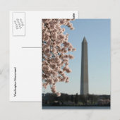 Washington Monument Briefkaart (Voorkant / Achterkant)