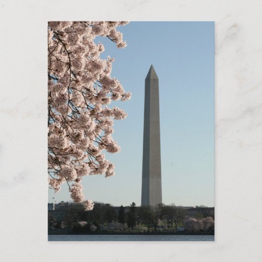 Washington Monument Briefkaart (Voorkant)