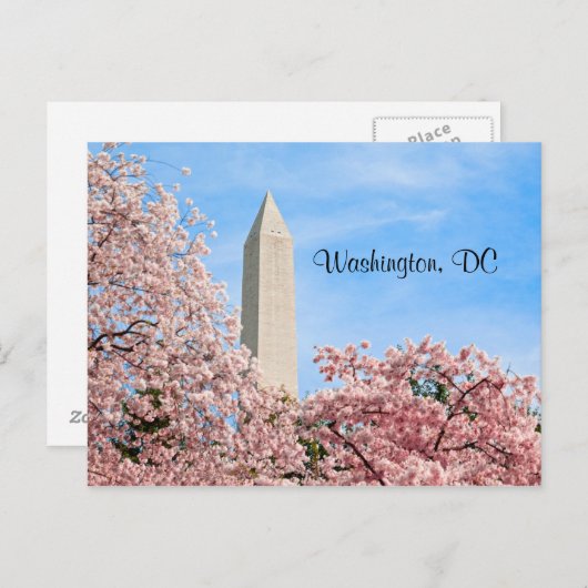 Washington Monument Briefkaart (Voorkant / Achterkant)
