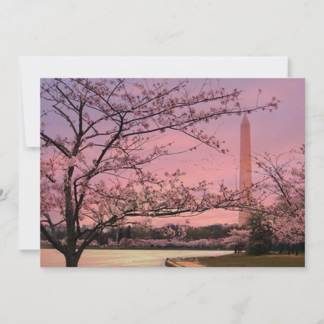 Washington Monument Cherry Blossom Festival (Voorkant)