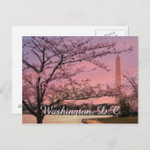 Washington Monument Cherry Blossom Festival Briefkaart (Voorkant / Achterkant)