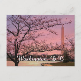 Washington Monument Cherry Blossom Festival Briefkaart