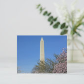 Washington Monument Cherry Blossom Festival Briefkaart (Staand voorkant)