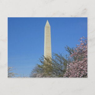 Washington Monument Cherry Blossom Festival Briefkaart