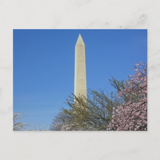 Washington Monument Cherry Blossom Festival Briefkaart (Voorkant)