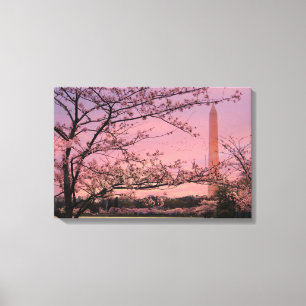 Washington Monument Cherry Blossom Festival Canvas Afdruk