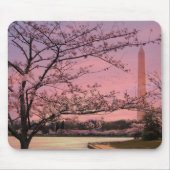 Washington Monument Cherry Blossom Festival Muismat (Voorkant)