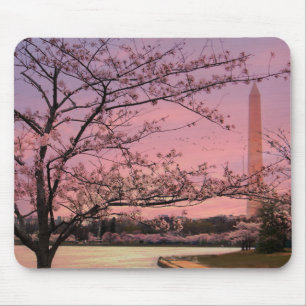Washington Monument Cherry Blossom Festival Muismat