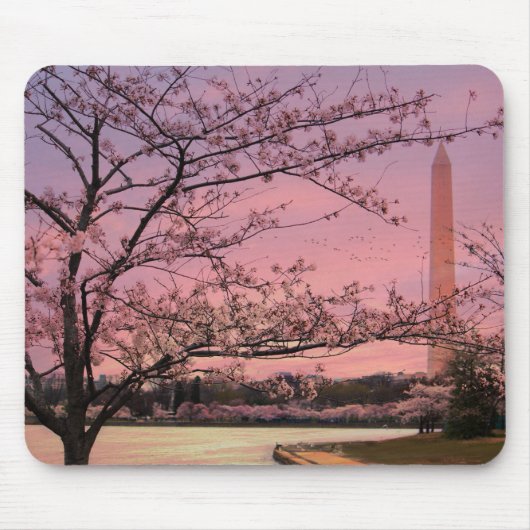 Washington Monument Cherry Blossom Festival Muismat (Voorkant)