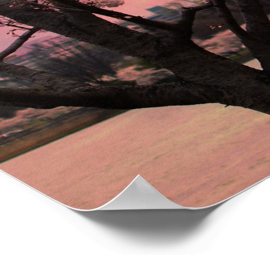 Washington Monument Cherry Blossom Festival Poster (Hoek)