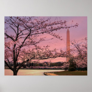 Washington Monument Cherry Blossom Festival Poster