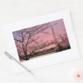 Washington Monument Cherry Blossom Festival Rechthoekige Sticker (Envelop)