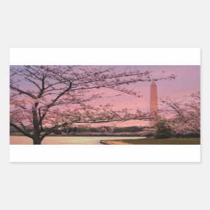 Washington Monument Cherry Blossom Festival Rechthoekige Sticker