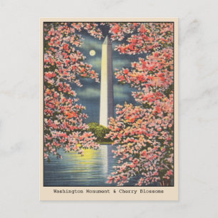  Washington Monument & Cherry Blossoms DC Briefkaart