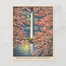  Washington Monument & Cherry Blossoms DC Briefkaart