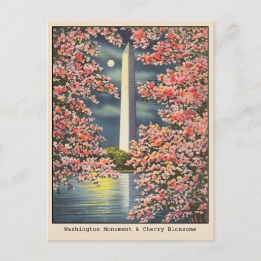  Washington Monument & Cherry Blossoms DC Briefkaart (Voorkant)