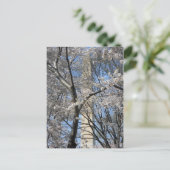 Washington Monument Cherry Trees 001 Briefkaart (Staand voorkant)