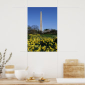 Washington Monument Daffodils Poster (Keuken)