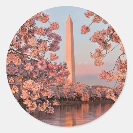Washington Monument en Kersenbloesem Sticker (Voorkant)