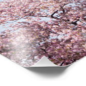 Washington Monument Foto Afdruk (Hoek)