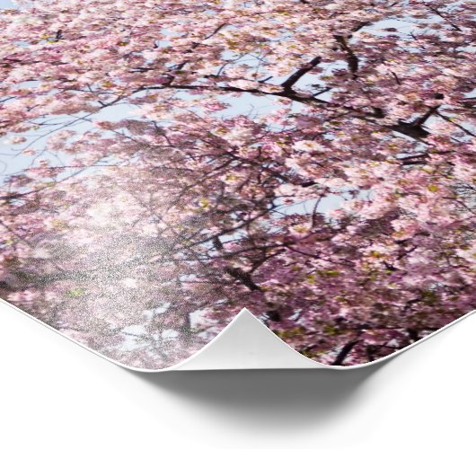 Washington Monument Foto Afdruk (Hoek)