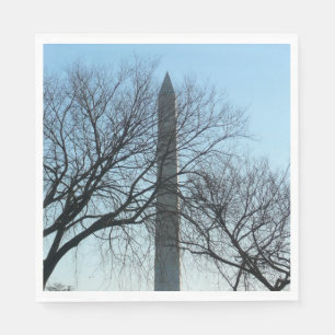 Washington Monument in de Winter I Landschap Servet