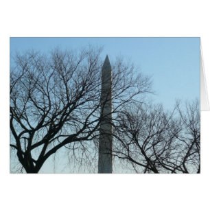 Washington Monument in Winter I Landschap