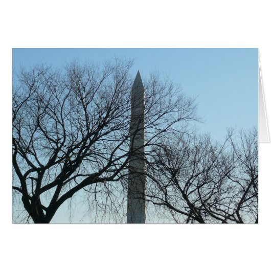 Washington Monument in Winter I Landschap (Voorkant Horizontaal)