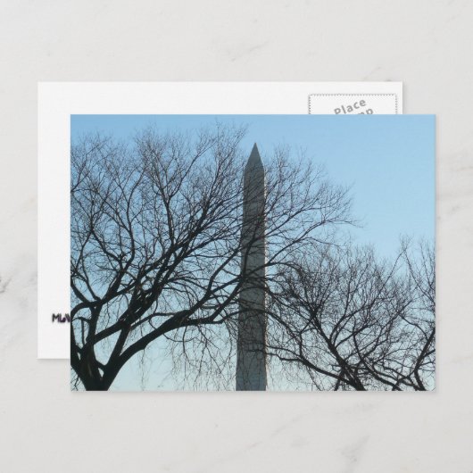 Washington Monument in Winter I Landschap Briefkaart (Voorkant / Achterkant)