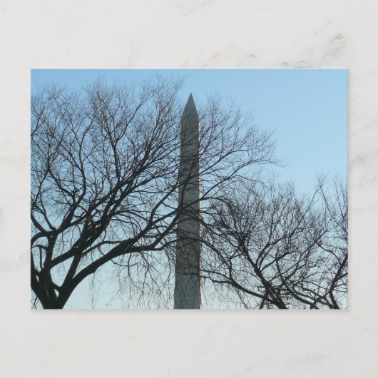 Washington Monument in Winter I Landschap Briefkaart (Voorkant)