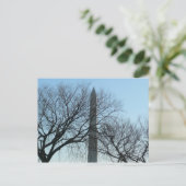 Washington Monument in Winter I Landschap Briefkaart (Staand voorkant)