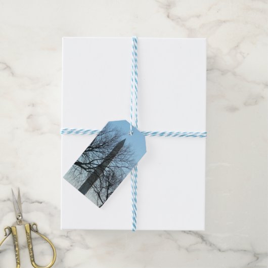 Washington Monument in Winter I Landschap Cadeaulabel (Met Touw)