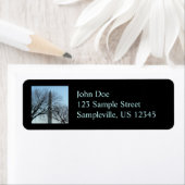 Washington Monument in Winter I Landschap Etiket (Insitu)