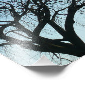 Washington Monument in Winter I Landschap Foto Afdruk (Hoek)