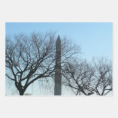 Washington Monument in Winter I Landschap Inpakpapier Vel (Voorkant 2)