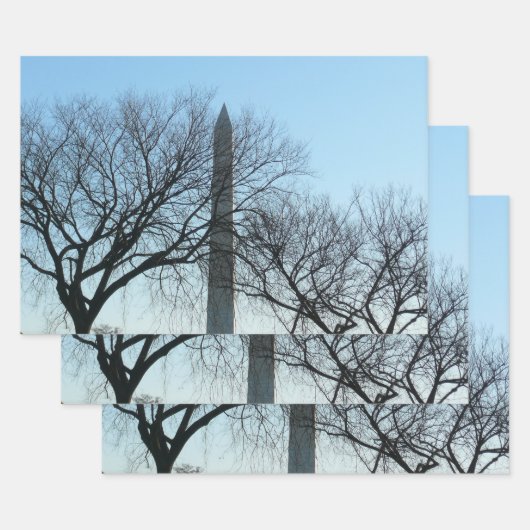 Washington Monument in Winter I Landschap Inpakpapier Vel (Set)