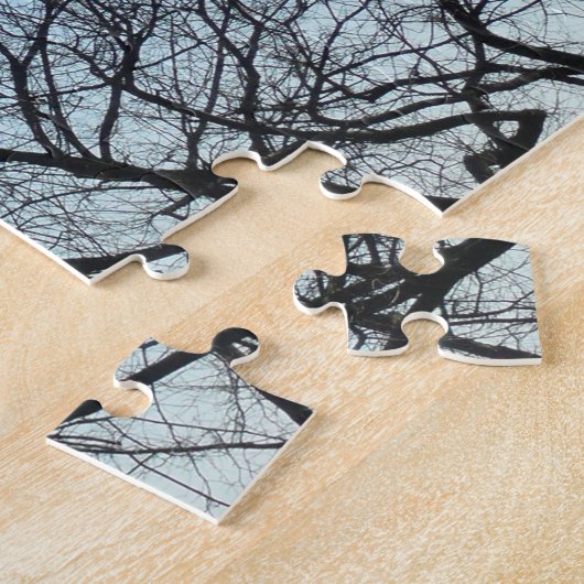 Washington Monument in Winter I Landschap Legpuzzel (Zijkant)