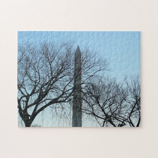 Washington Monument in Winter I Landschap Legpuzzel (Horizontaal)