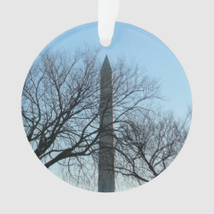 Washington Monument in Winter I Landschap Ornament