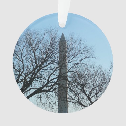Washington Monument in Winter I Landschap Ornament (voorkant)