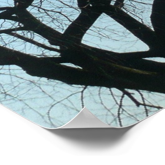 Washington Monument in Winter I Landschap Poster (Hoek)