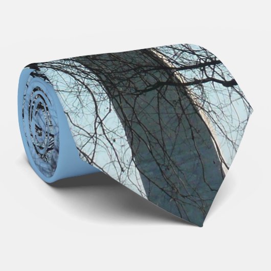 Washington Monument in Winter I Landschap Stropdas (Opgerold)