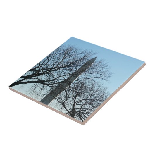 Washington Monument in Winter I Landschap Tegeltje (Zijkant)