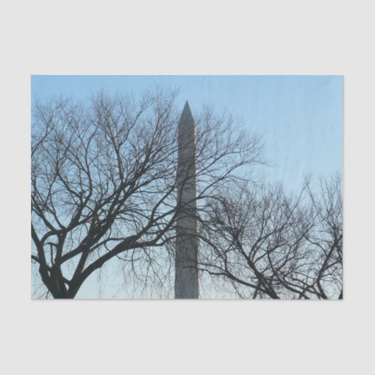 Washington Monument in Winter I Landschap Tissuepapier (Voorkant)