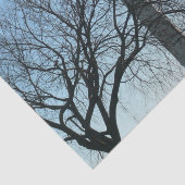 Washington Monument in Winter I Landschap Tissuepapier (Detail)