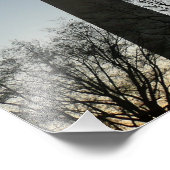 Washington Monument in Winter II Landschap Foto Afdruk (Hoek)