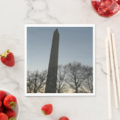 Washington Monument in Winter II Landschap Servetten (Insitu)