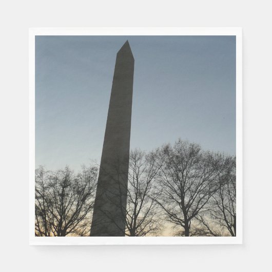 Washington Monument in Winter II Landschap Servetten (Voorkant)